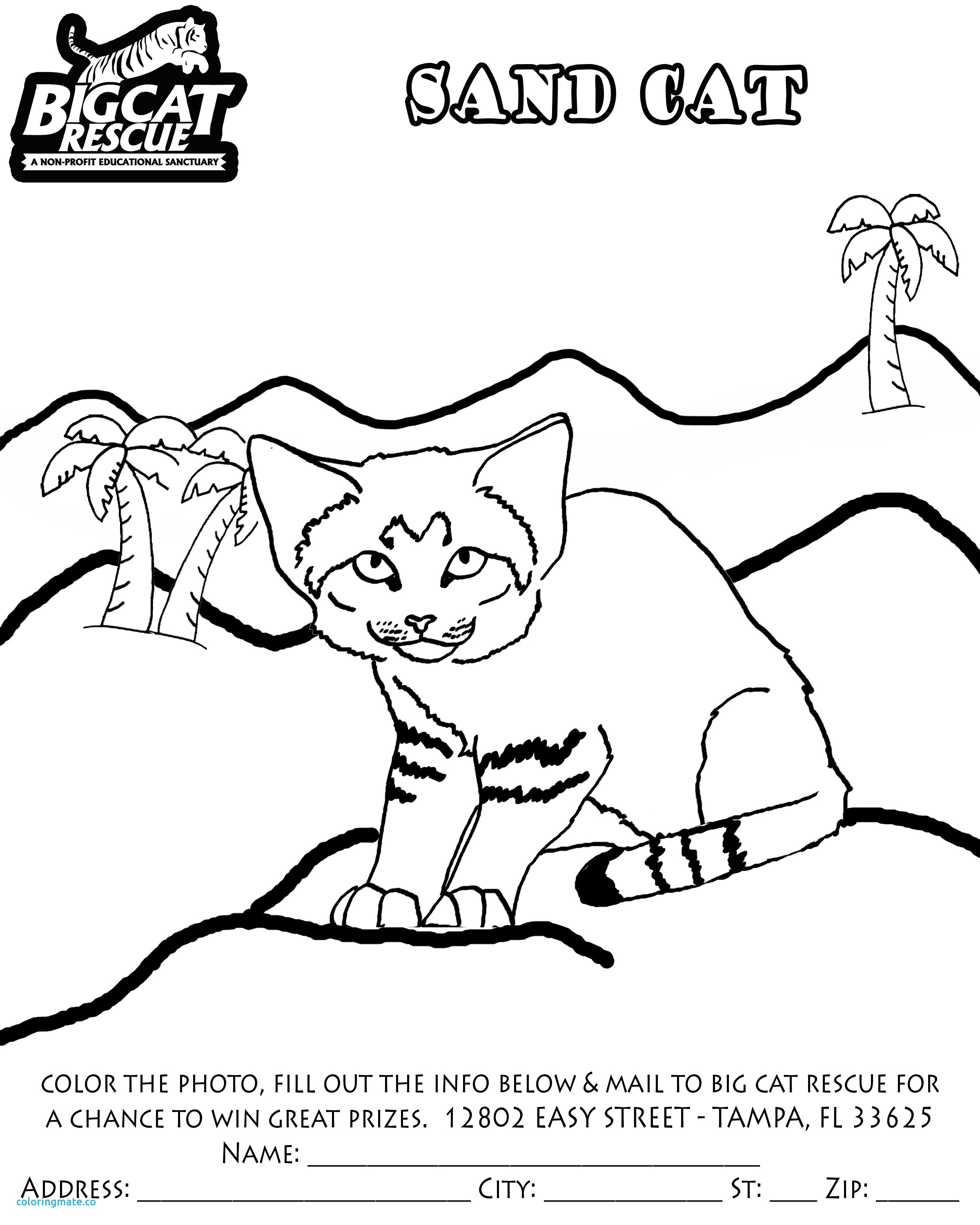 2400x3000 Coloring Pages That Say Your Name Coloring Pages That Say Your