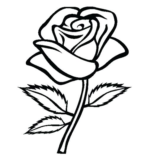 518x528 Coloring Pages That You Can Print Pictures That You Can Print Out