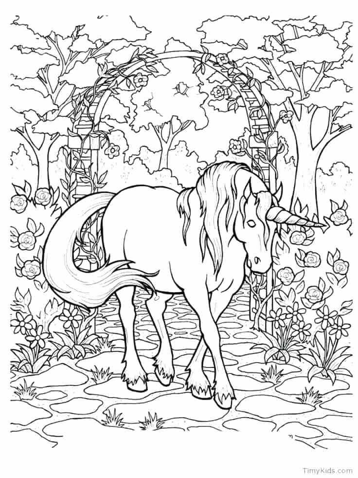 736x982 Unicorn Color Pages Unicorn Coloring Pages For Adults Unicorn