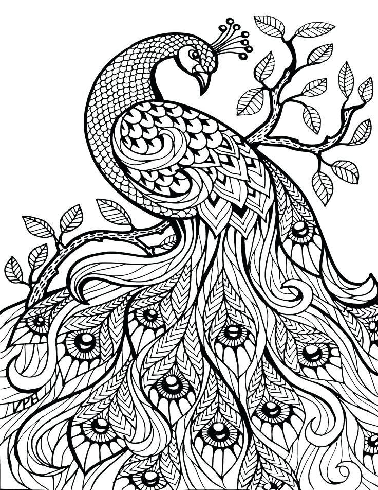 736x952 Coloring Pages Color Online