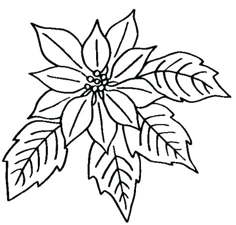 474x451 Printable Flowers Coloring Pages