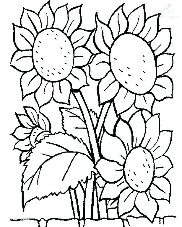 616x770 Coloring Pages Trees Plants And Flowers As Awesome More Images