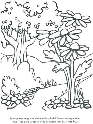 360x480 Trees Coloring Pages Coloring Pages Plants Coloring Pages Trees