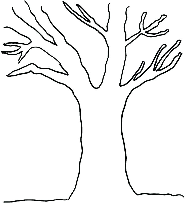 736x807 Trees Coloring Pages Coloring Pages Trees Plants Flowers