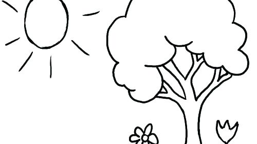500x280 Coloring Pages Trees Plants And Flowers Vanda