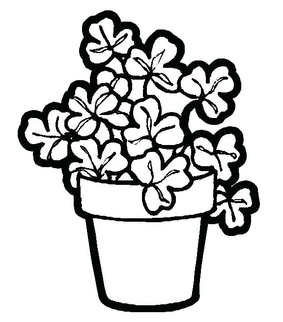 576x655 Coloring Pages Of Trees And Flowers Coloring Pages Trees Plants