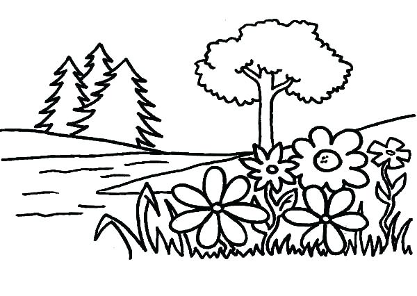600x426 Coloring Pages Of Trees Plants Flowers Coloring Page