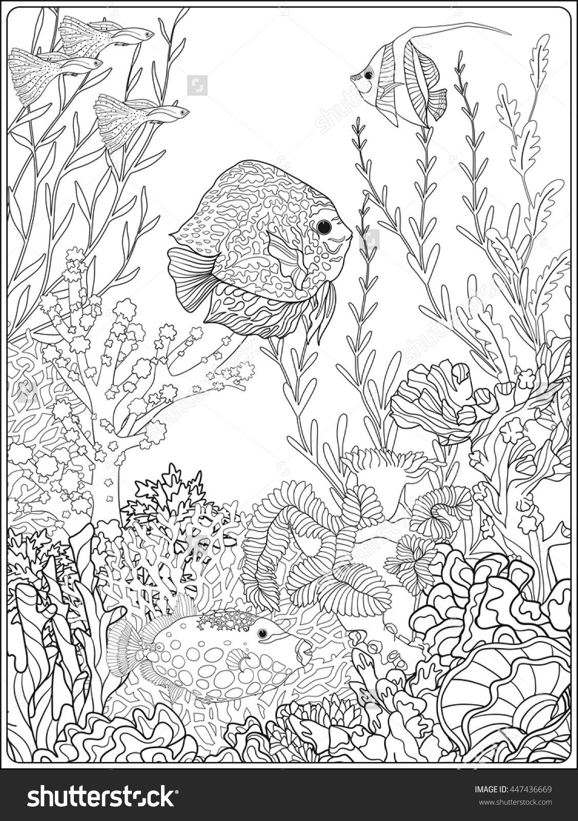 1127x1600 Adult Coloring Book. Coloring Page With Underwater World Coral