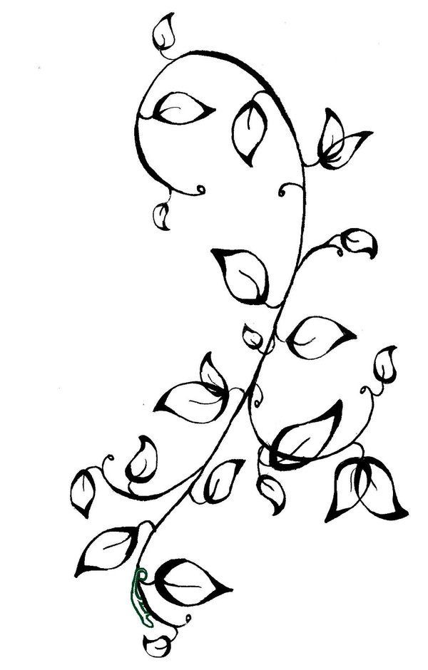 Coloring Pages Vines