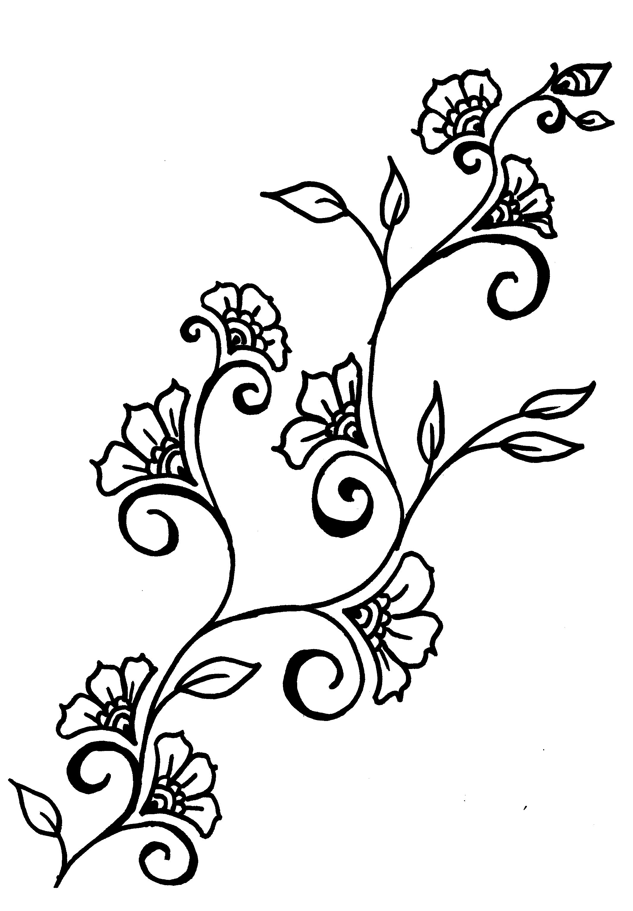 2130x3068 Incredible Drawn Vine Outline Pencil And In Color Pic For Flower