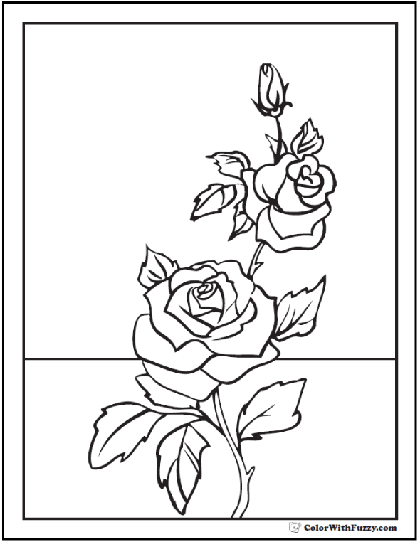 590x762 Lily Coloring Pages Customize Pdf Printables Rose Buds And Rose