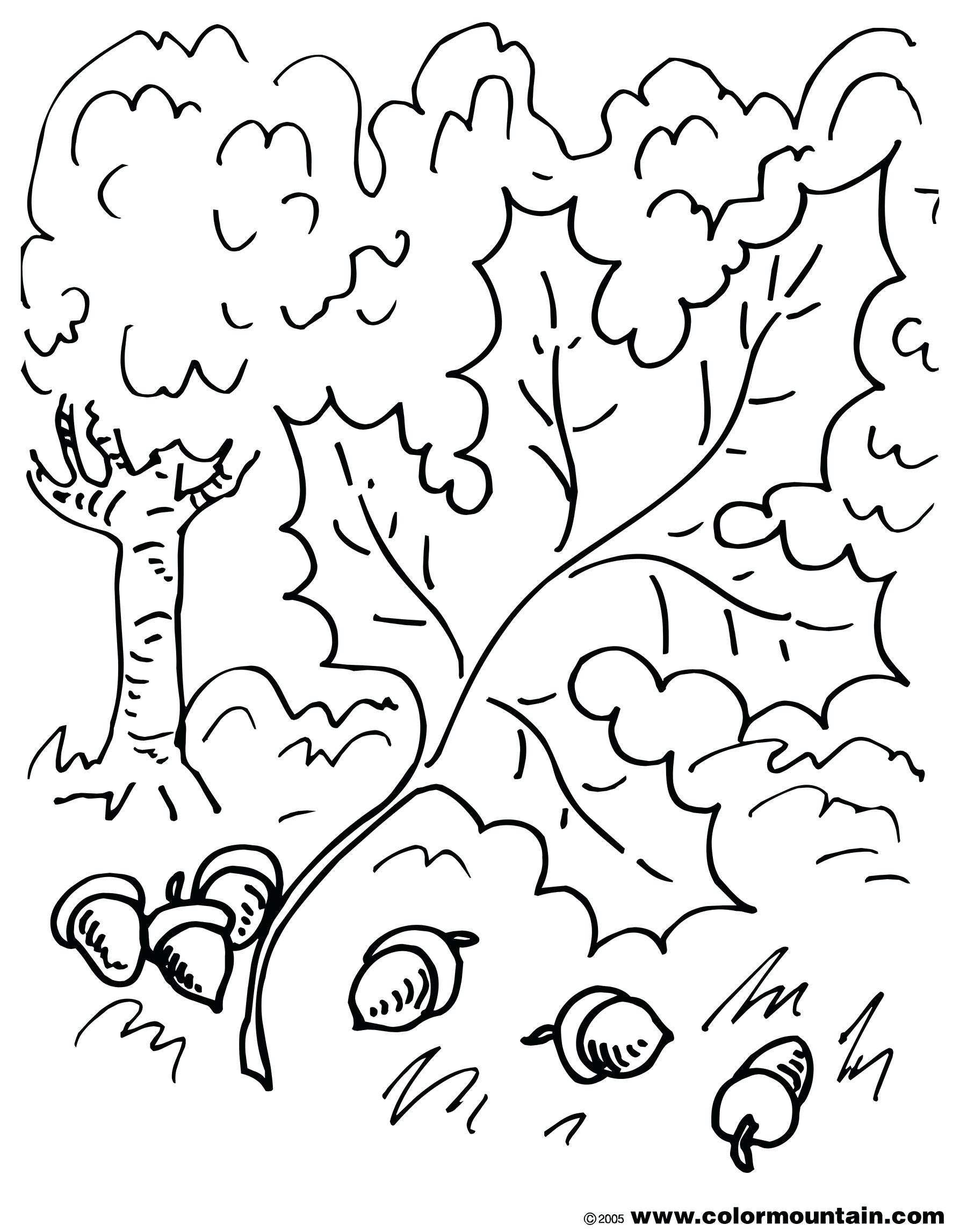 1800x2294 Coloring Pages ~ Leaves Coloring Pages Vines Leaf Images Leaves