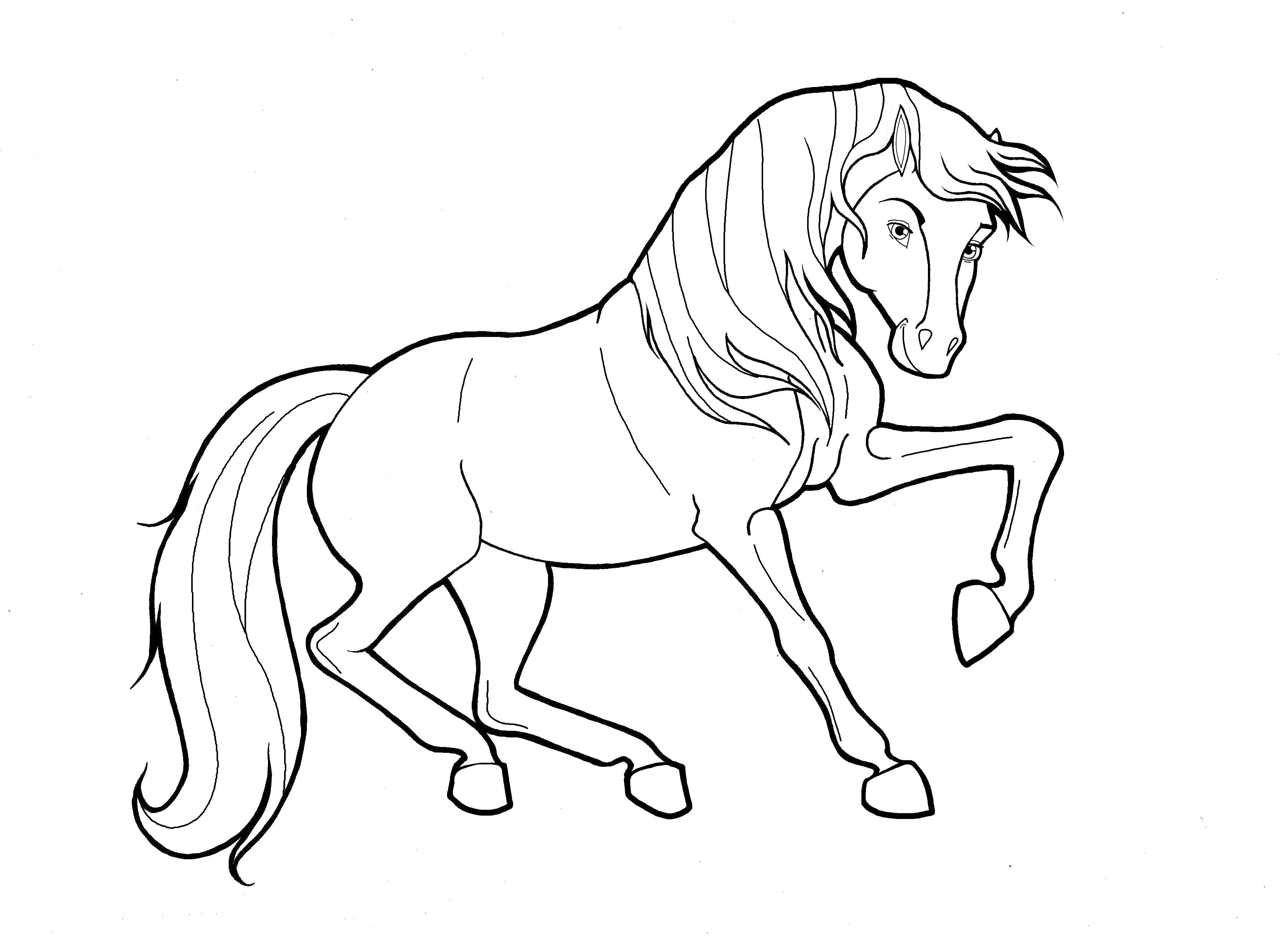 Coloring Pages Wild Horses