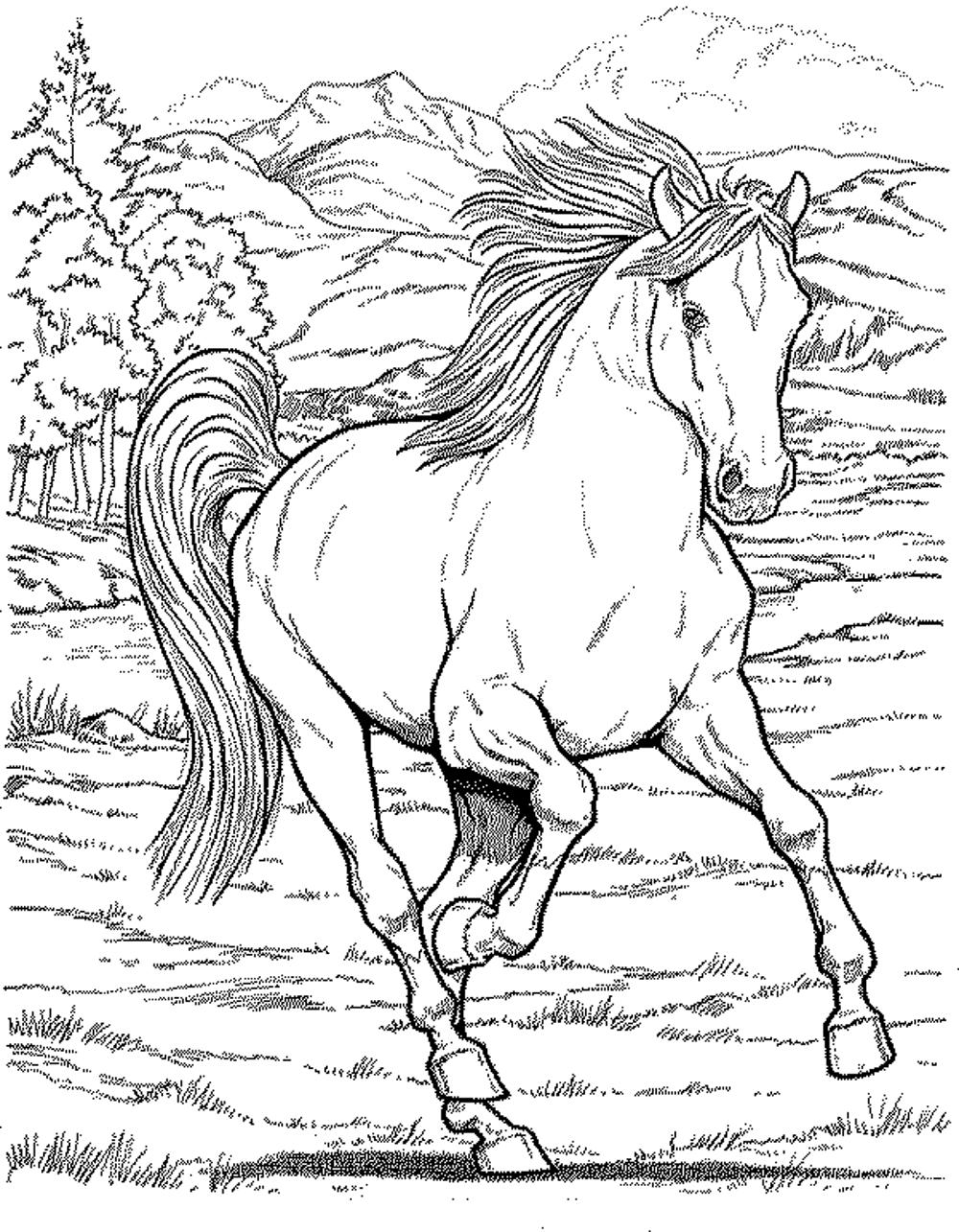 1000x1285 Wild Horse Coloring Pages To Print
