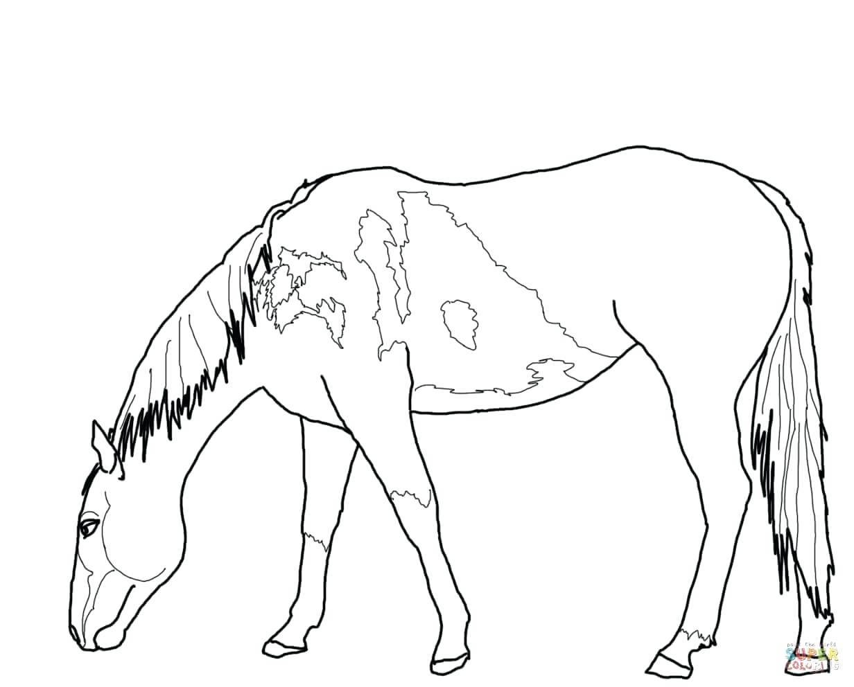 1232x992 Coloring Pages Online Printable Wild Horses 2 Funny Horse Running