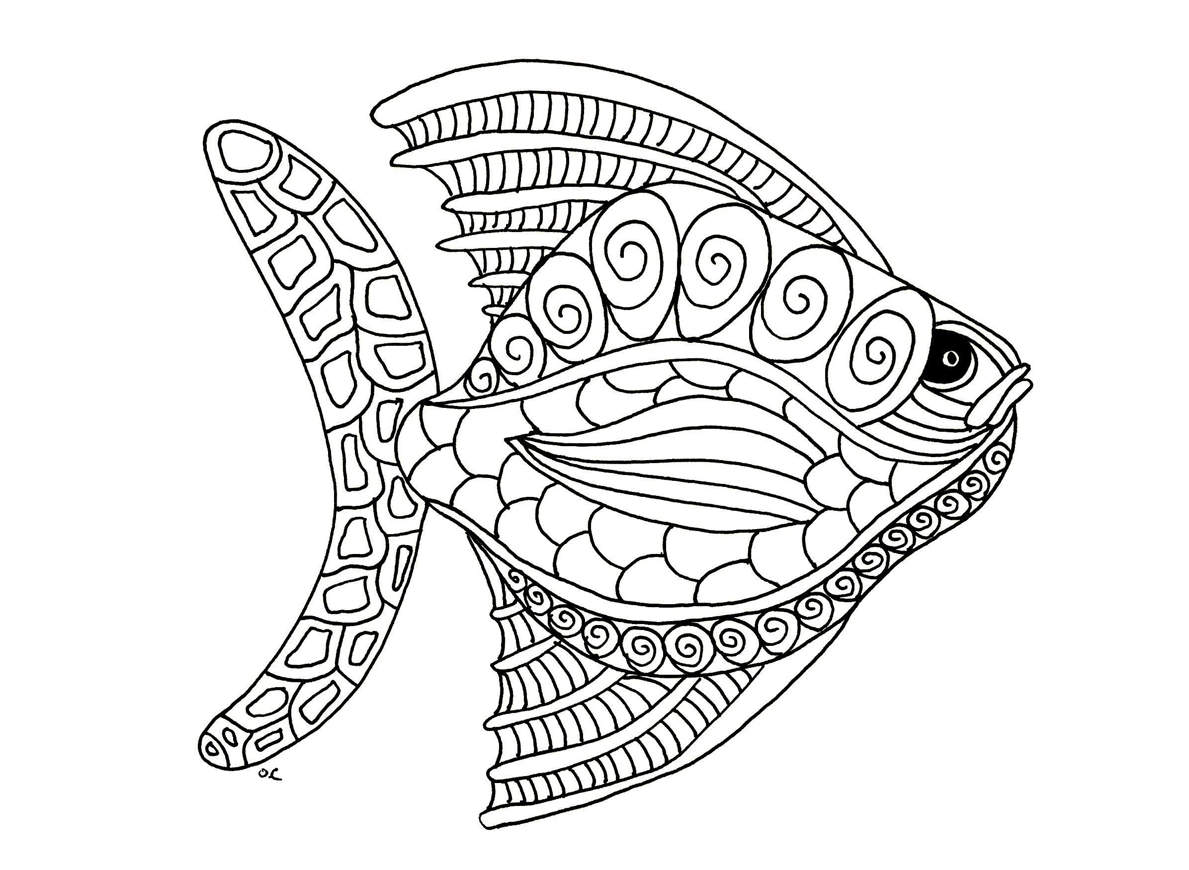 2392x1751 Free Coloring Page Coloring Fish Zentangle Step 1 By Olivier Big