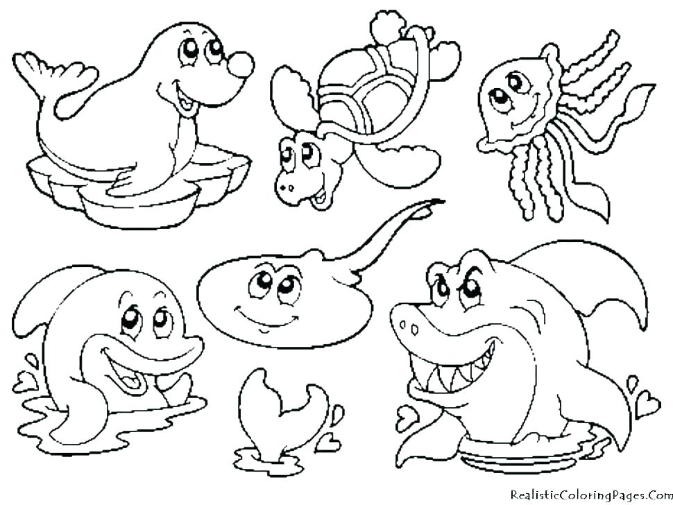 970x728 Zoo Colouring Pages Printable Animals To Color Coloring