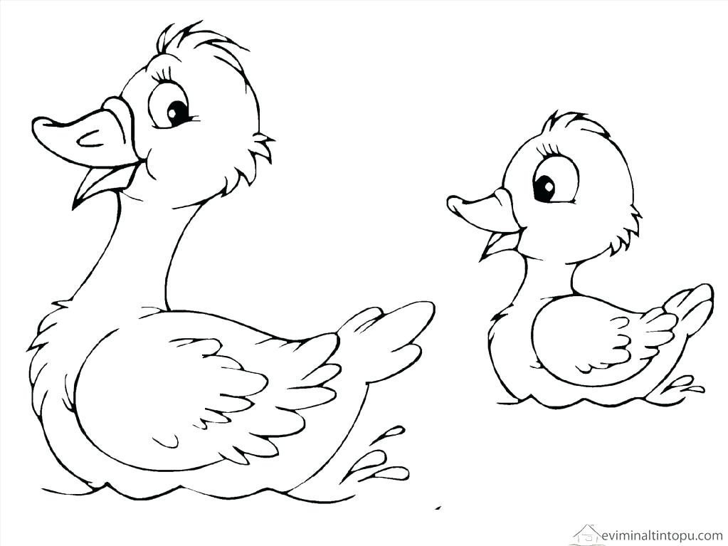 1023x767 Loon Coloring Page Click To See Printable Version Of Loon On