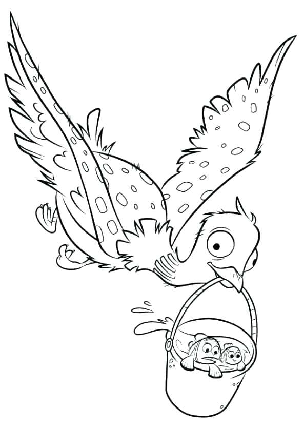 593x832 Loon Coloring Page Common Loon Loons Birds Coloring Pages Free