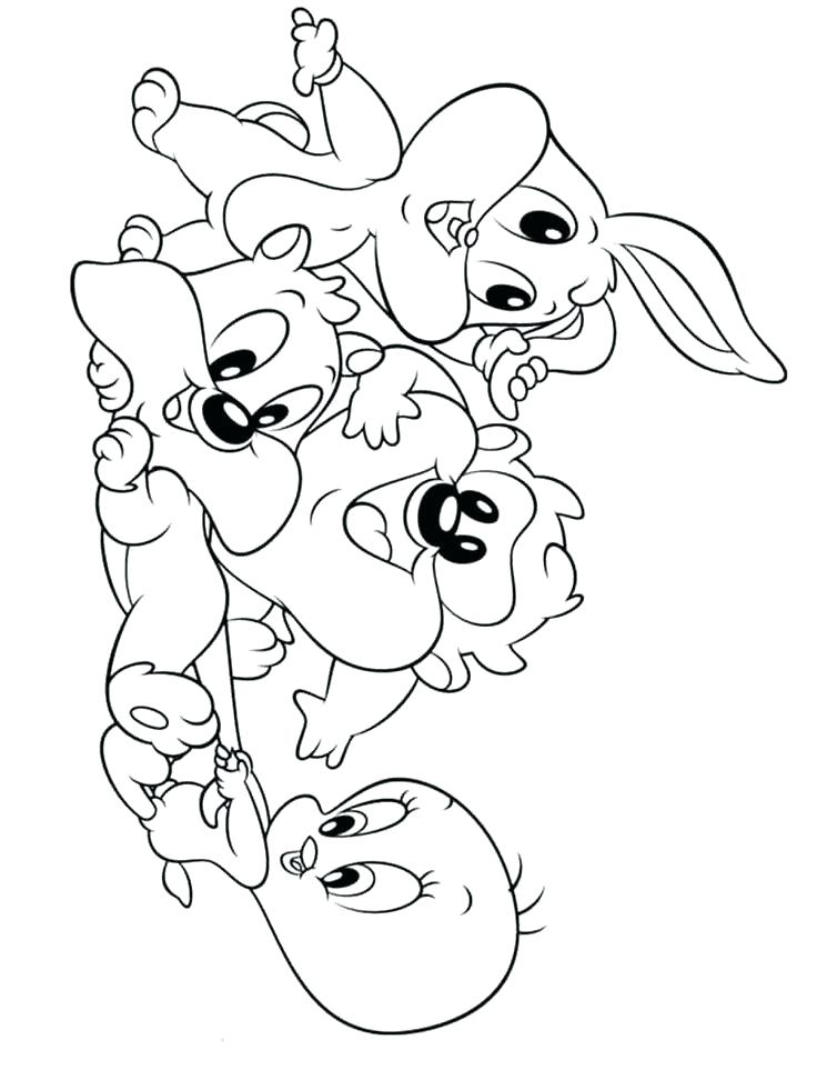 736x981 Loon Common Coloring Page Common Loon Coloring Page