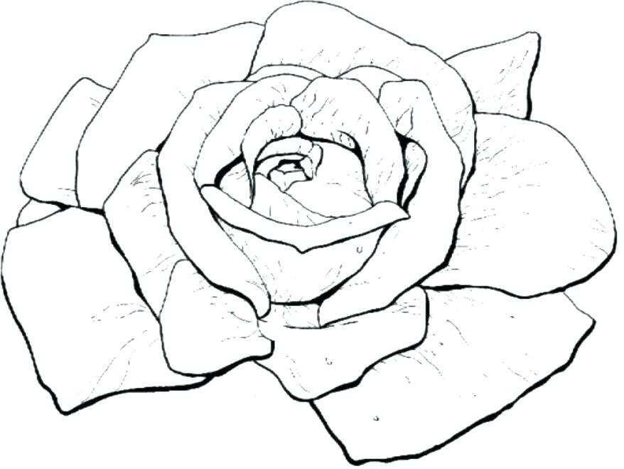 878x659 Marvellous Compass Rose Coloring Page Marvellous Compass Rose
