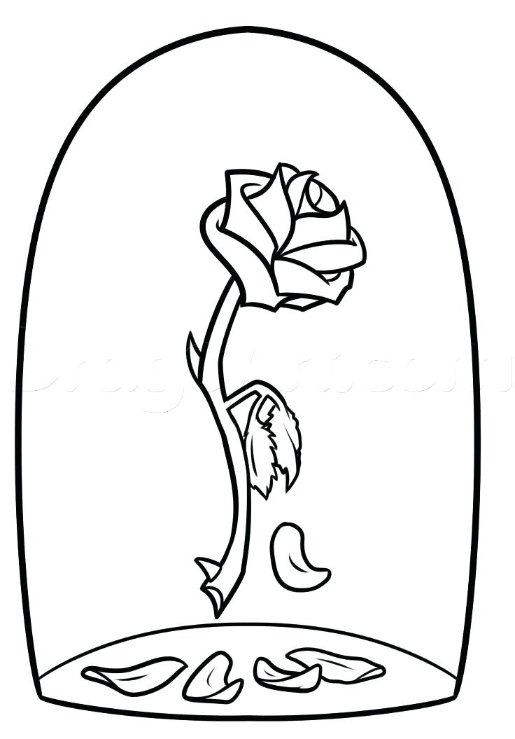 736x1055 Marvellous Compass Rose Coloring Page Rose Coloring Pages Full