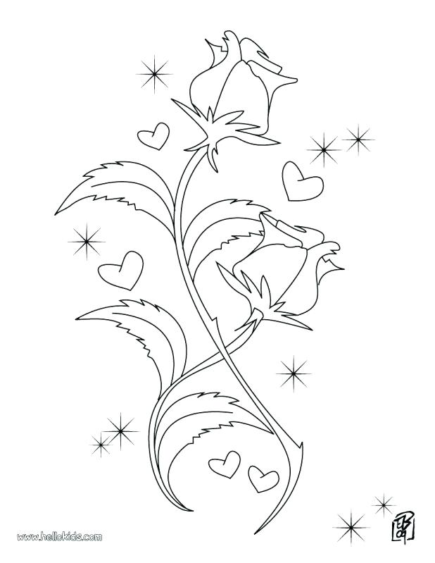 618x799 Marvellous Compass Rose Coloring Page Usedauto.club