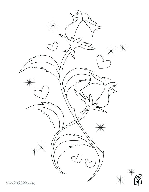 618x799 Compass Rose Coloring Page Compass Rose Coloring Page Roses