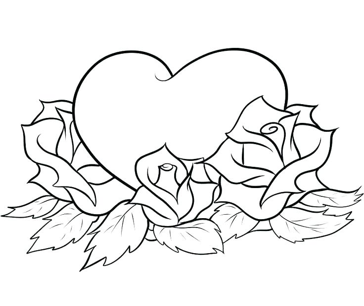 736x620 Compass Rose Coloring Page Free Rose Coloring Pages Coloring Page