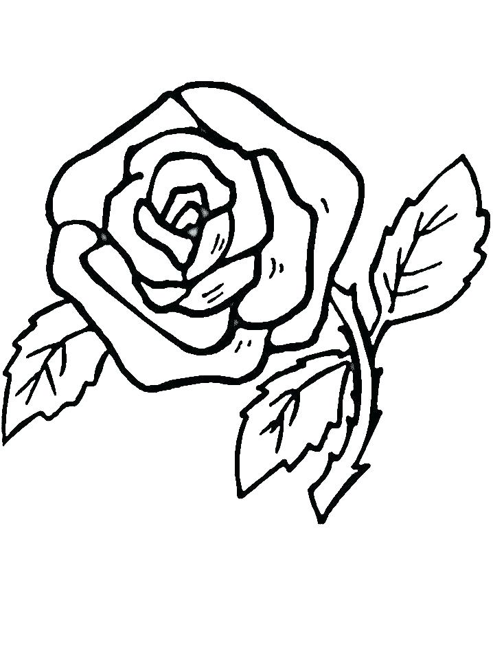718x957 Compass Rose Coloring Page Rose Color Pages Rose Coloring Books