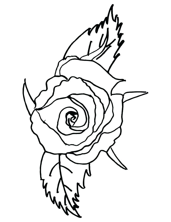 720x936 Marvellous Compass Rose Coloring Page Coloring Page Rose New Rose