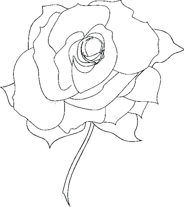 600x673 Marvellous Compass Rose Coloring Page Rose Color Pages Printable