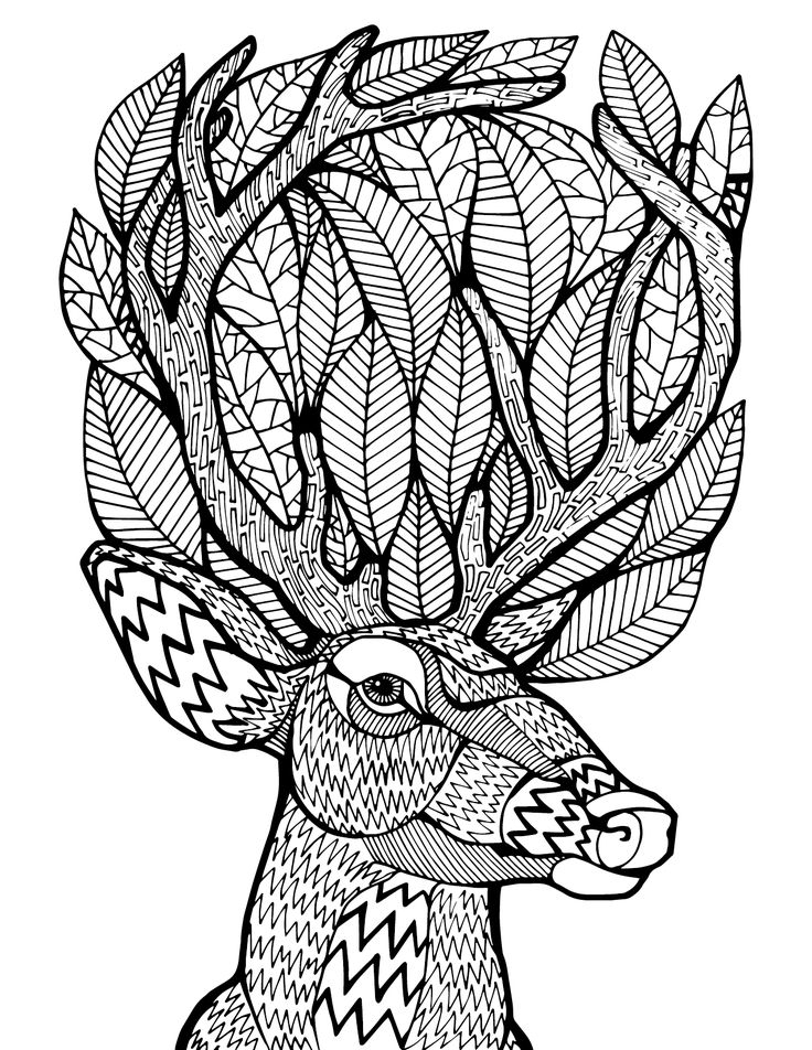 736x952 Adult Coloring Pages Mandala Of A Deer Download