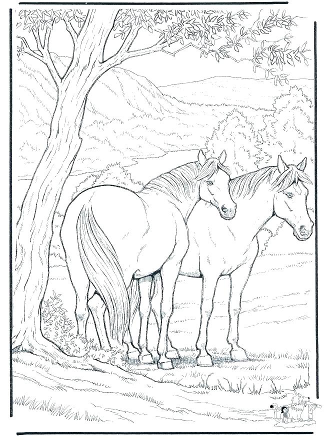 660x880 Hard Animal Coloring Pages Hard Animal Coloring Page Hard Animal