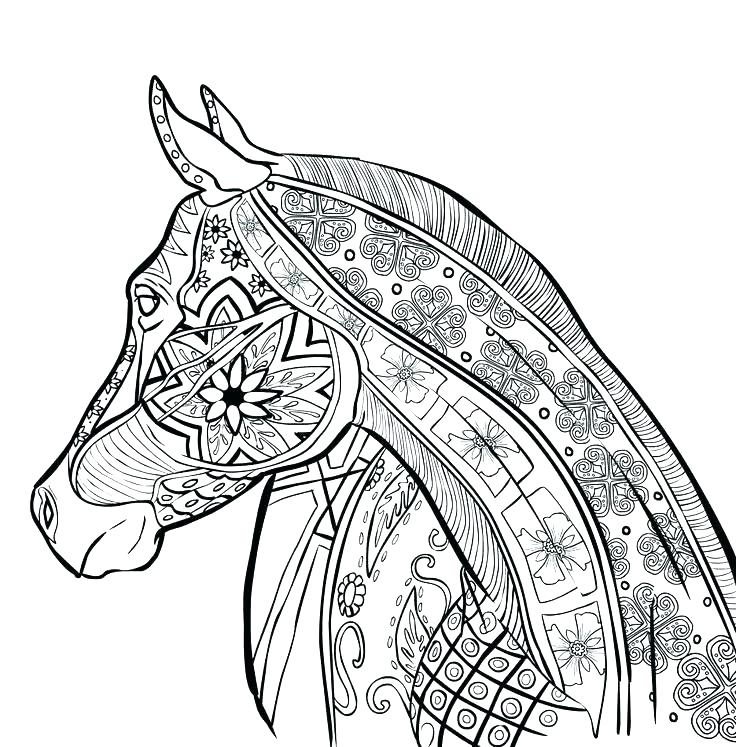 736x747 Hard Animal Coloring Pages Hard Coloring Pages Printable Hard