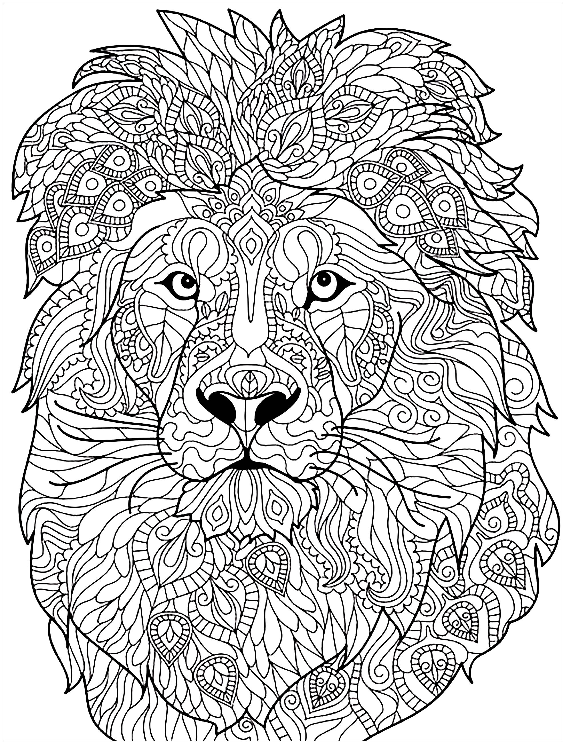1982x2603 Lion Complex Patterns