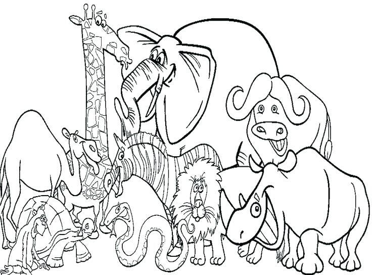 736x544 Animal Coloring Pages To Print Printable Complex Animal Coloring