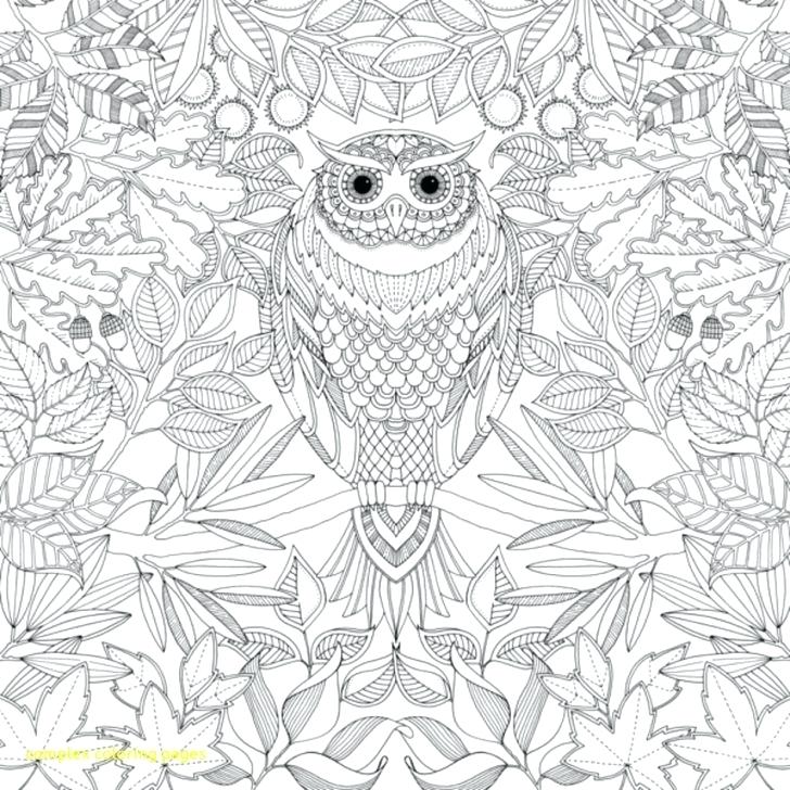 728x728 Printable Complex Mandala Coloring Pages The Sun Free For Adults