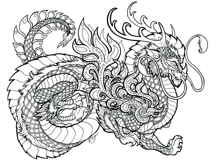 736x546 Complex Dragon Coloring Pages Luxury Hard Coloring Pages