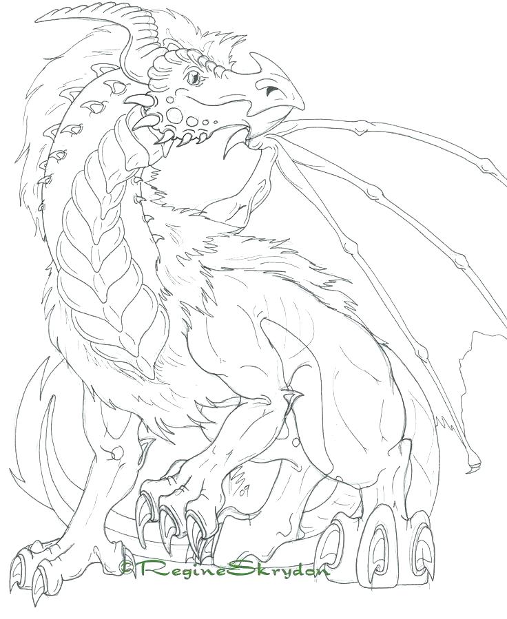 736x899 Dragon Coloring Pages For Adults