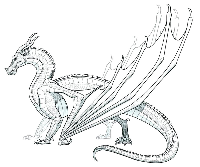 800x668 Dragon Printable Coloring Pages
