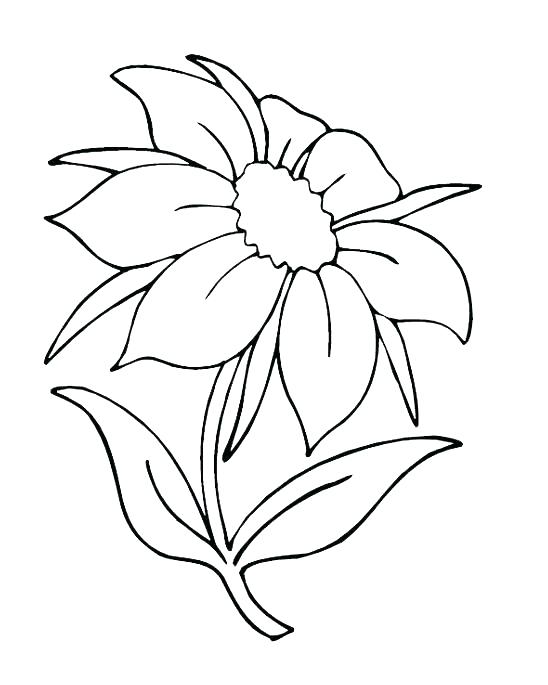 548x685 Free Printable Complex Coloring Pages Modern Floral Free Coloring