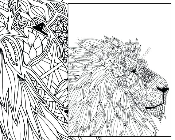 570x457 Animal Coloring Pages For Adults Together With Coloring Page Love