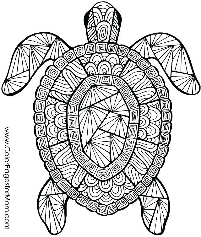 640x755 Free Coloring Pages Of Animals Free Printable Summer Coloring Free