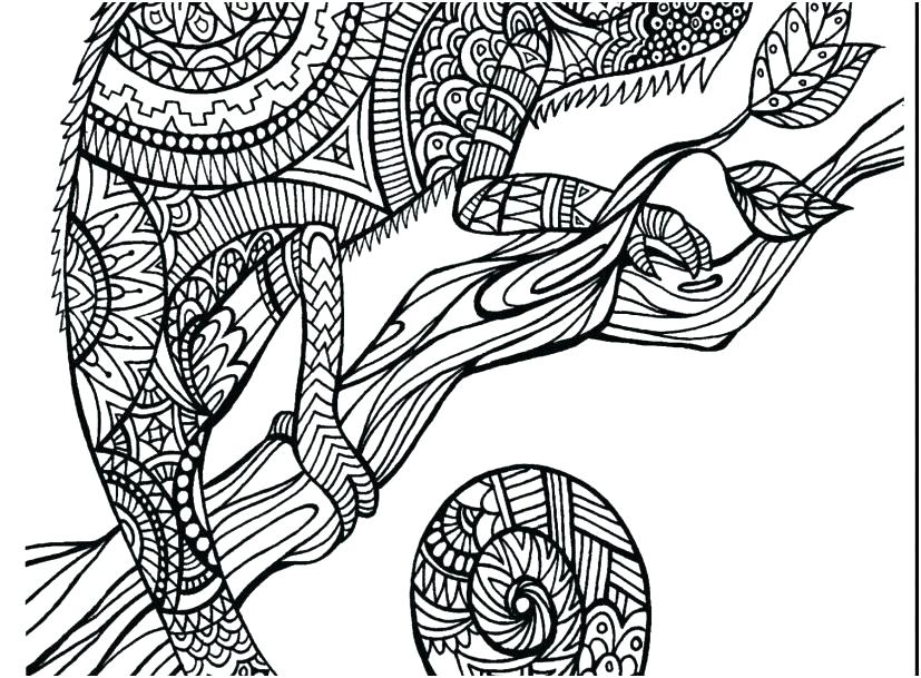 827x609 Animal Coloring Pages For Adults Best Animal Coloring Pages Images