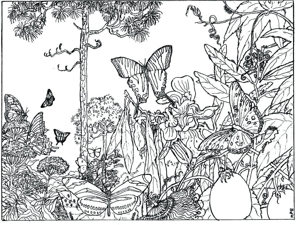 1024x779 Coloring Pages ~ Complicated Coloring Pages Awesome Printable