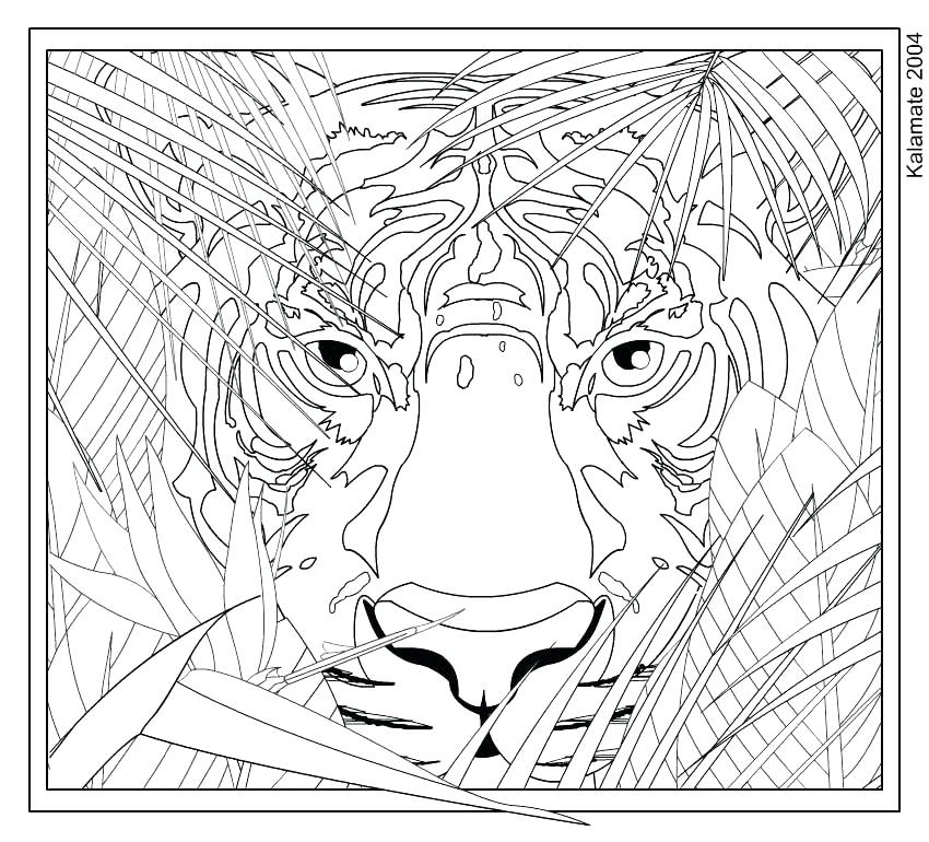 850x770 Free Intricate Coloring Pages Complicated Coloring Pages Free Free