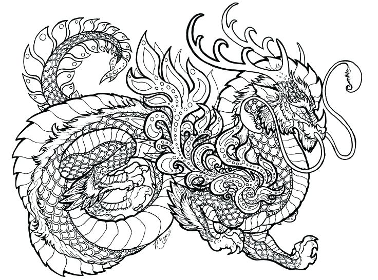 736x546 Coloring Pages Complex Complex Owl Coloring Pages For Adults