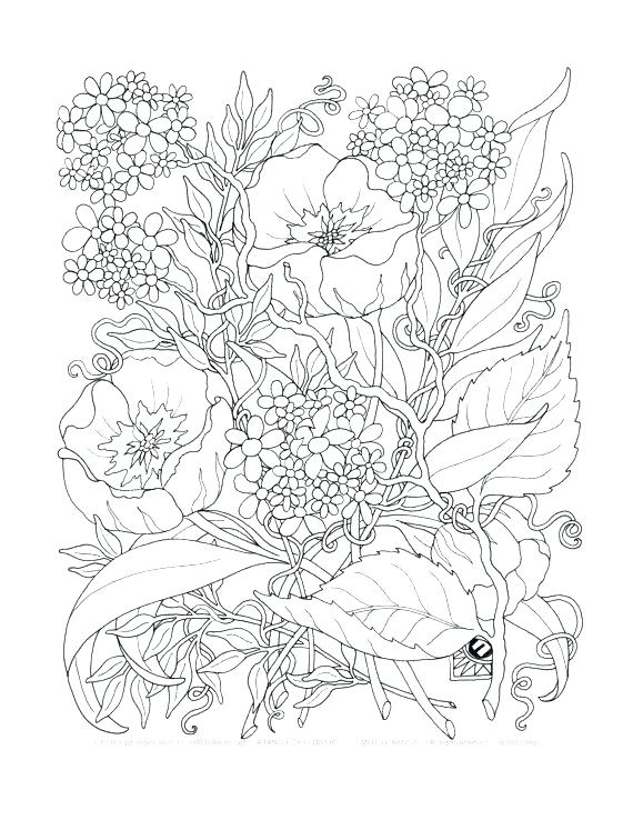 570x738 Intricate Flower Coloring Pages Intricate Flower Coloring Pages