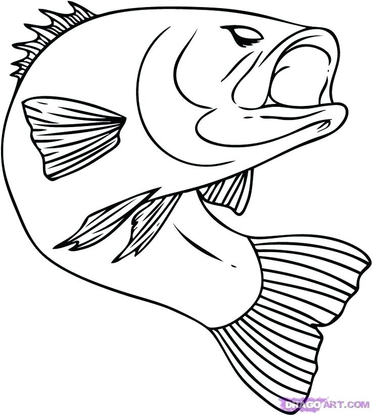 736x823 Computer Keyboard Colouring Page Kids Coloring Coloring Pages You